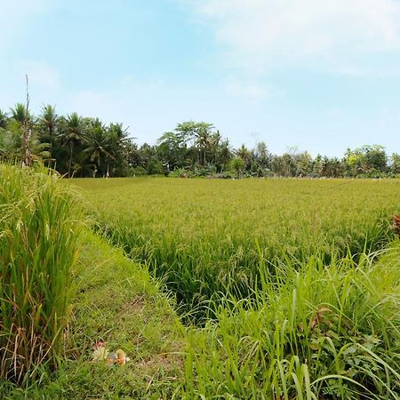 Thantha Ubud Villa Exteriér fotografie