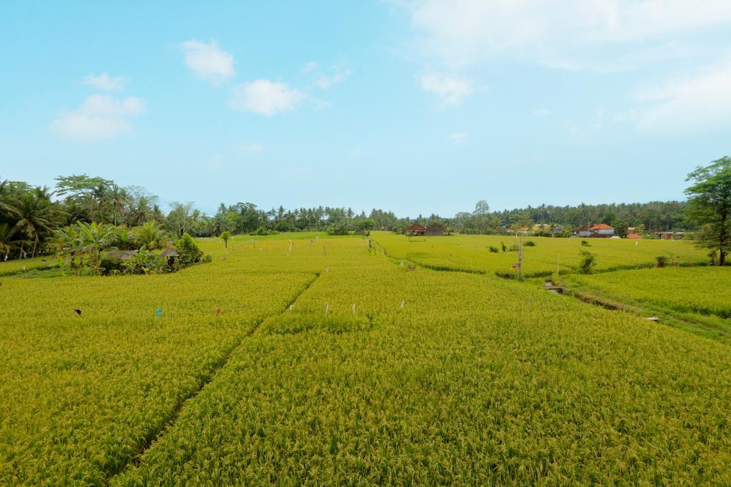 Thantha Ubud Villa Exteriér fotografie